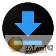 DOWNLOAD MANAGER 