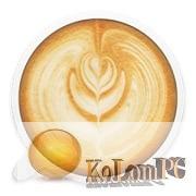 Lungo